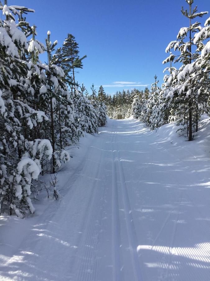 Stf Tre Bjoernar B&B Älvdalen Exterior foto